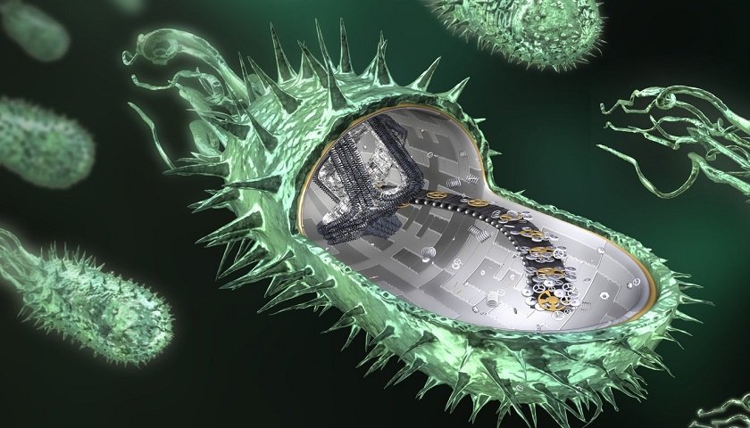 desarrollan-una-bacteria-que-transforma-el-co2-en-combustible