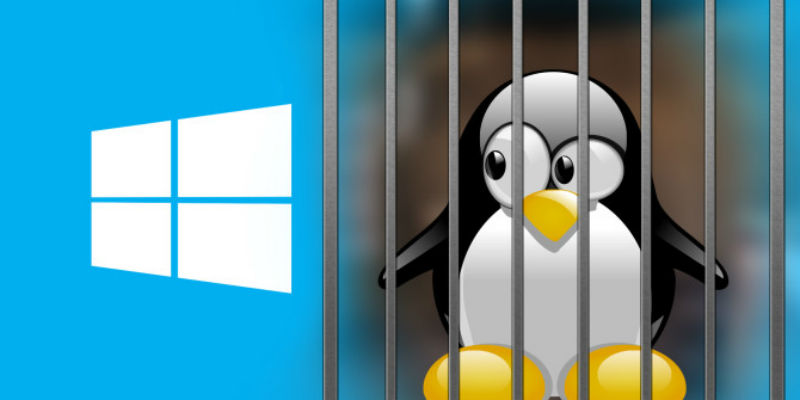 De Linux A Windows Y De Regreso