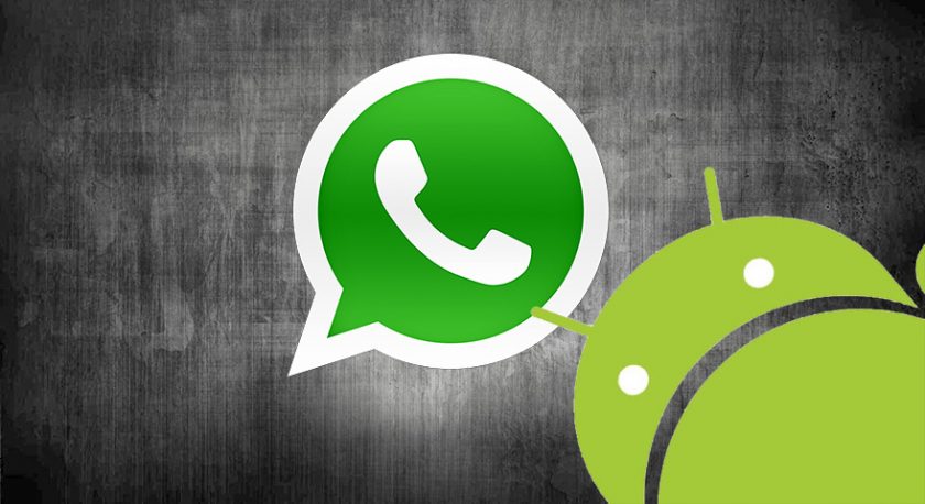 Copia De Seguridad Whatsapp Google Drive Tarda Mucho