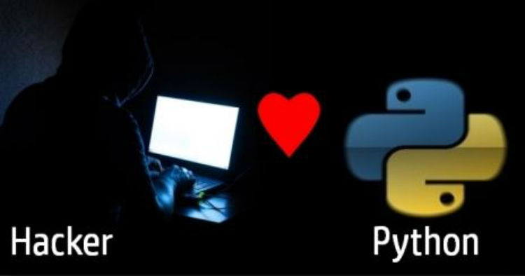 Python se convierte en el lenguaje favorito de hackers y crackers