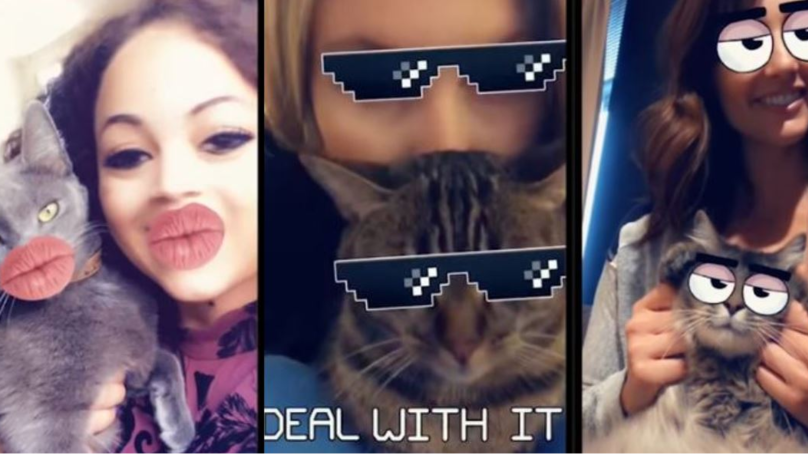 Vigilante esconder Percibir Snapchat agrega filtros que funcionan en tu gato