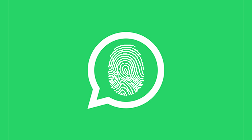WhatsApp para Android ya te deja proteger tus chats con huella digital, y te decimos cómo hacerlo. Noticias en tiempo real