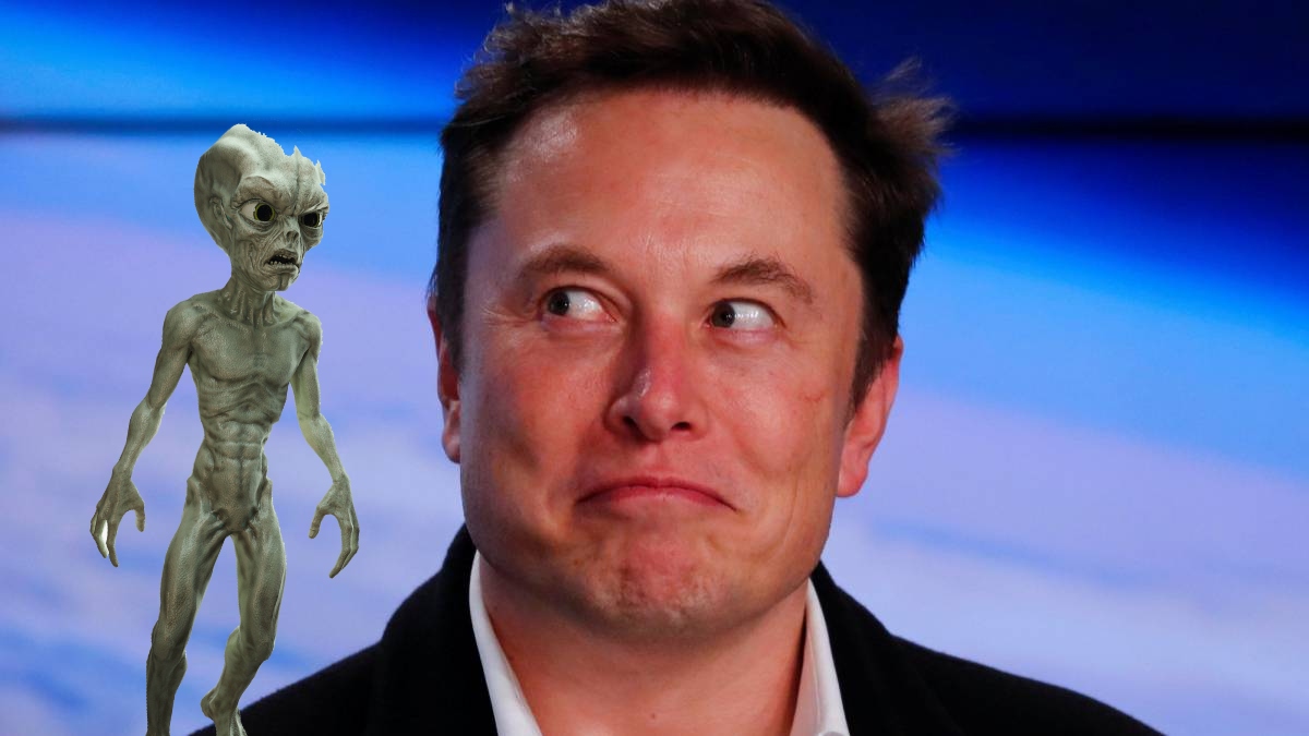 Elon Musk manifiesta su peculiar opinión sobre el asalto del Área 51. Noticias en tiempo real