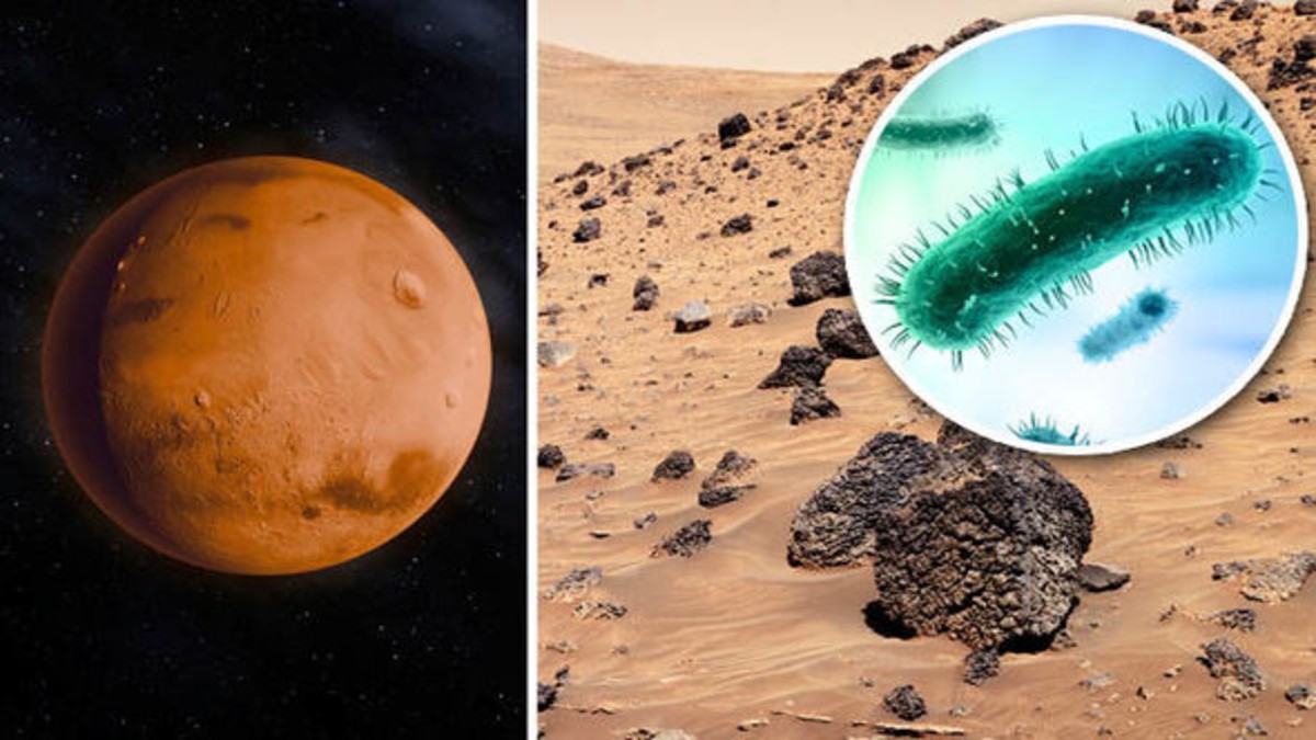 Un científico cree que ya se han encontrado formas de vida en Marte. Noticias en tiempo real