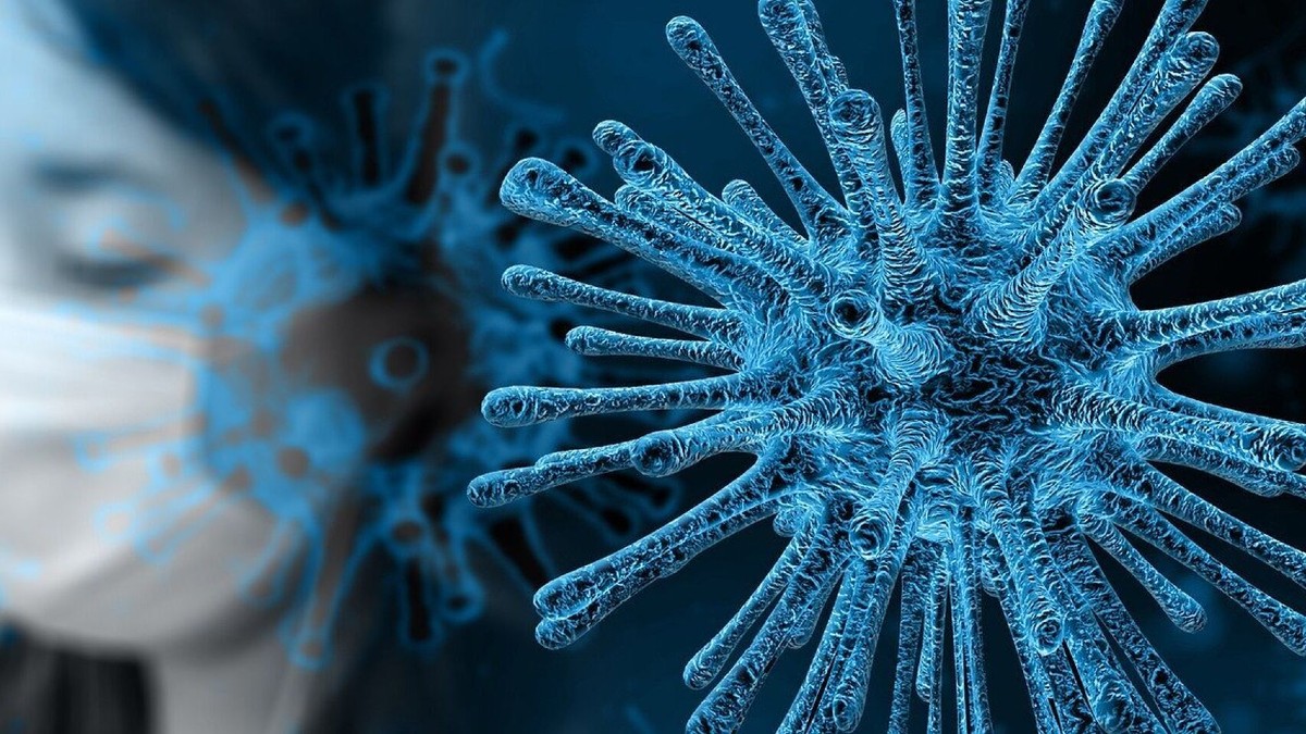el-coronavirus-puede-sobrevivir-casi-un-mes-en-la-pantalla-de-nuestros-smartphones-revela-estudio