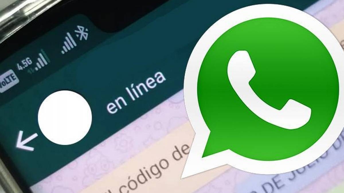unocero - Falla en WhatsApp: No es posible ver la última conexión ...