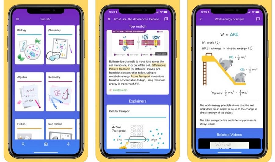 You have homework? Take a photo and this Google app will solve it