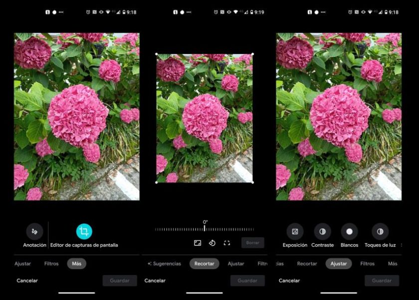 unocero - Google Fotos para Android se actualiza y estas son sus novedades