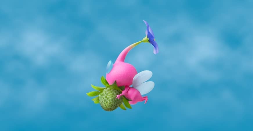 img-gallery