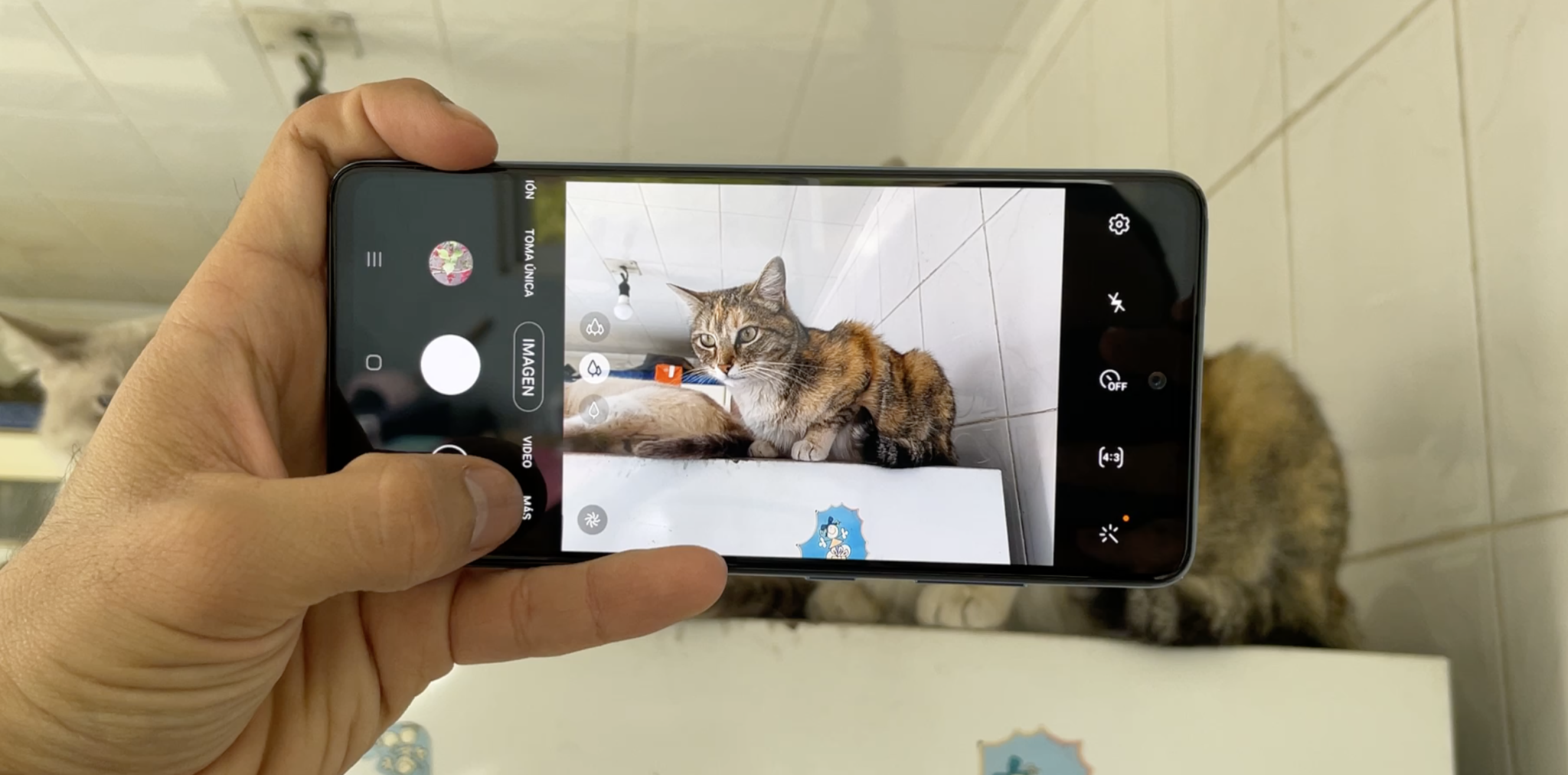 Como Reiniciar Un Samsung A 12