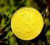 las-criptomonedas-que-buscan-ser-mas-verdes-que-bitcoin