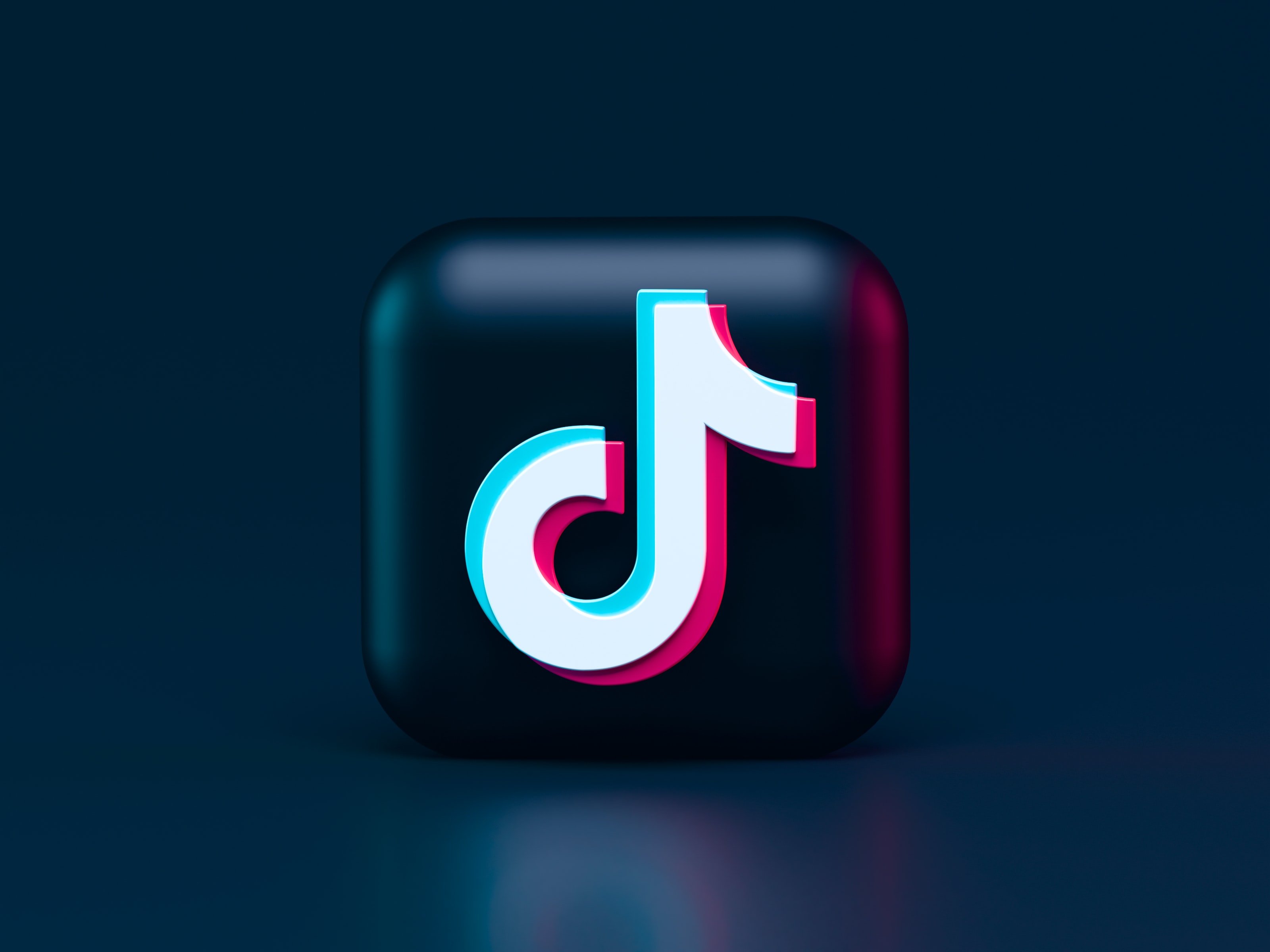 Estas fueron las tendencias que la rompieron en TikTok durante 2021. Noticias en tiempo real