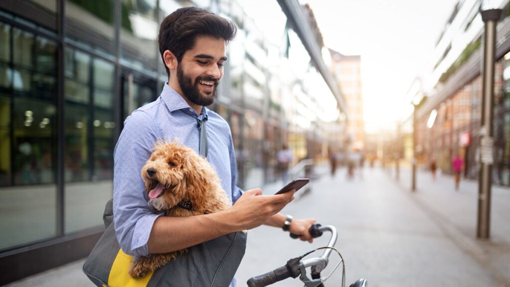 amante-de-los-lomitos-estos-son-5-sitios-web-para-perros-que-debes-consultar