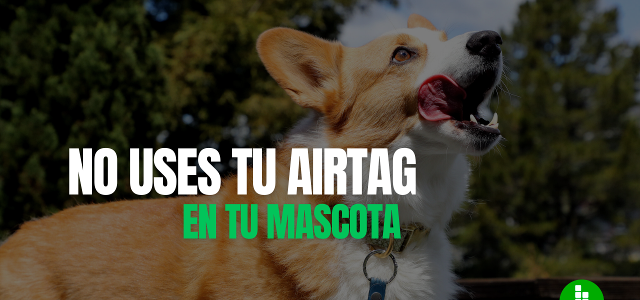 unocero - ¿Por qué no usar un AirTag en tu mascota o en tu coche?